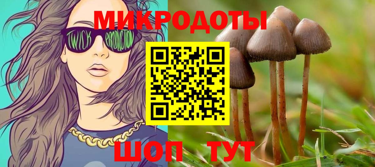 Галлюциногенные грибы ЛСД  где купить наркоту  Алексин  Вход с VPN  Галлюциногенные грибы прущие грибы 